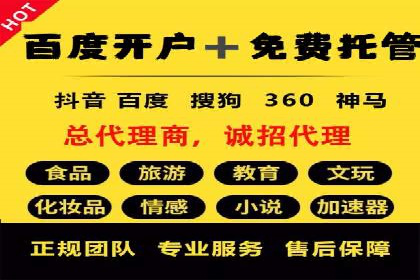 专业SEM托管，案例分析效果显著